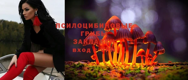 стафф Чита