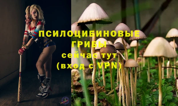 apvp Алексин