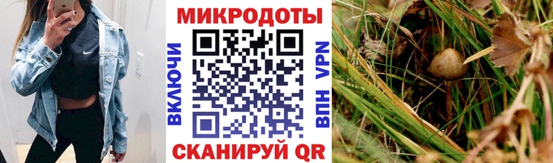 Псилоцибиновые грибы ЛСД где найти наркотики Юрьев-Польский